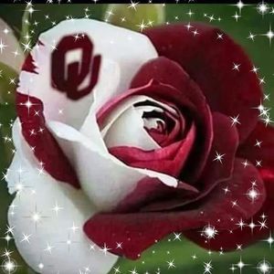 Meet your Posher, Deedee